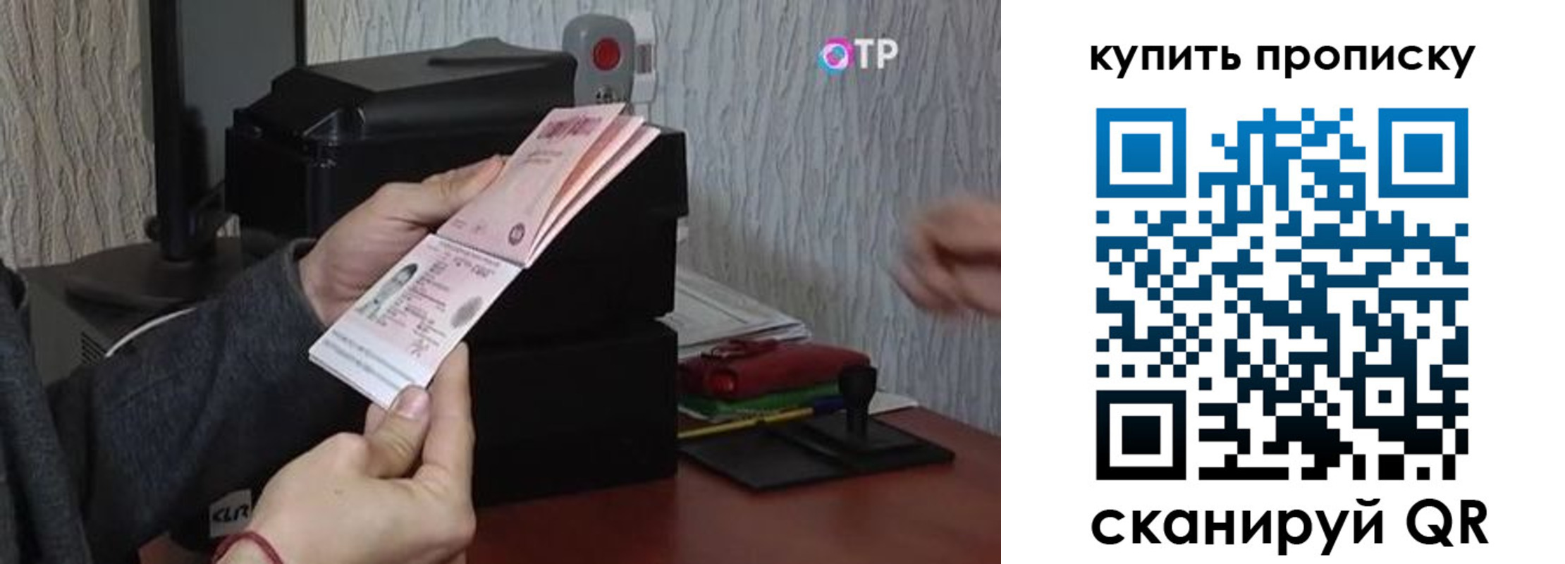 прописка гарантия в Острове