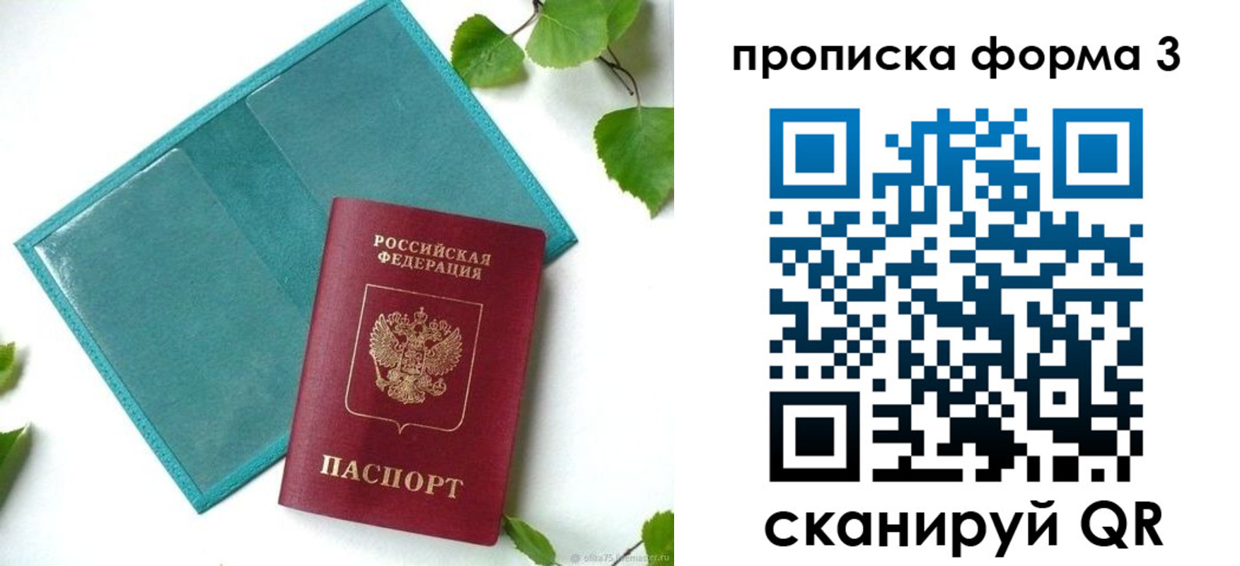 прописка ребенка в Острове